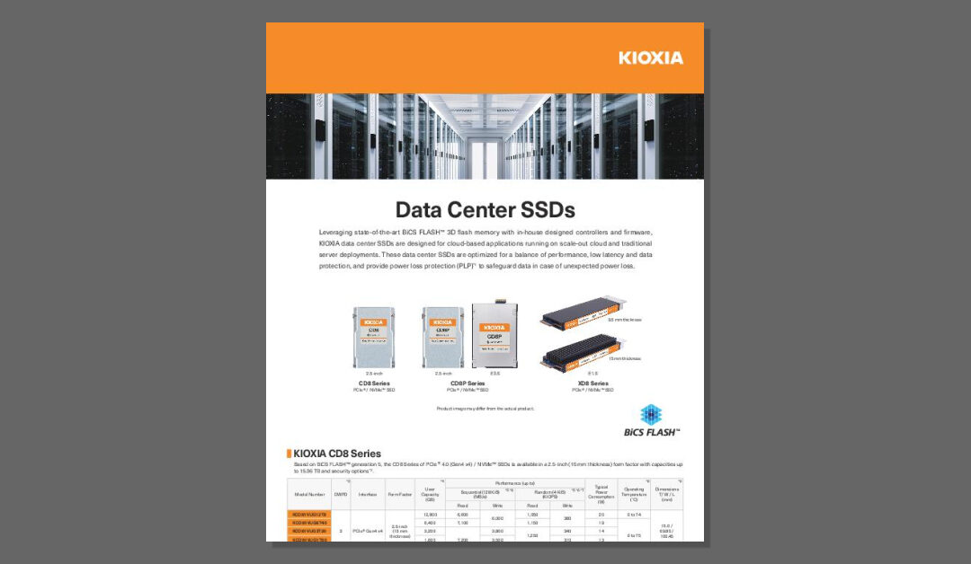 KIOXIA Data Center SSD Data Sheet