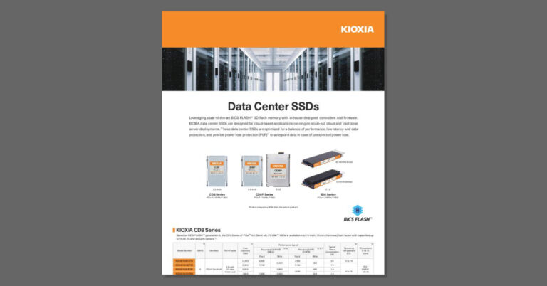 KIOXIA Data Center SSD Data Sheet